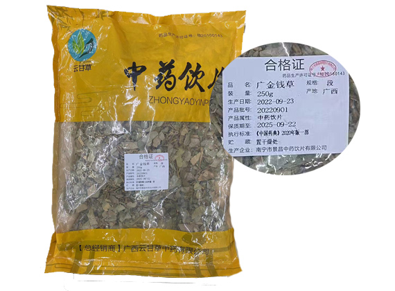 广金钱草